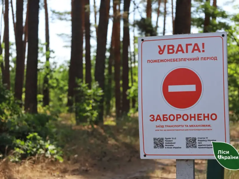 На Полтавщині заборонили відвідувати ліси через пожежну небезпеку