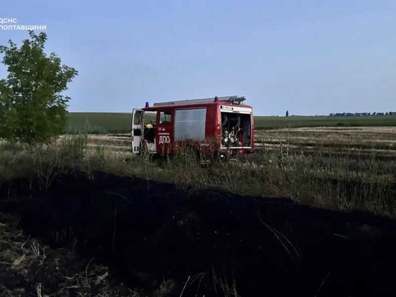 На Полтавщині за добу загасили дві пожежі сухостою