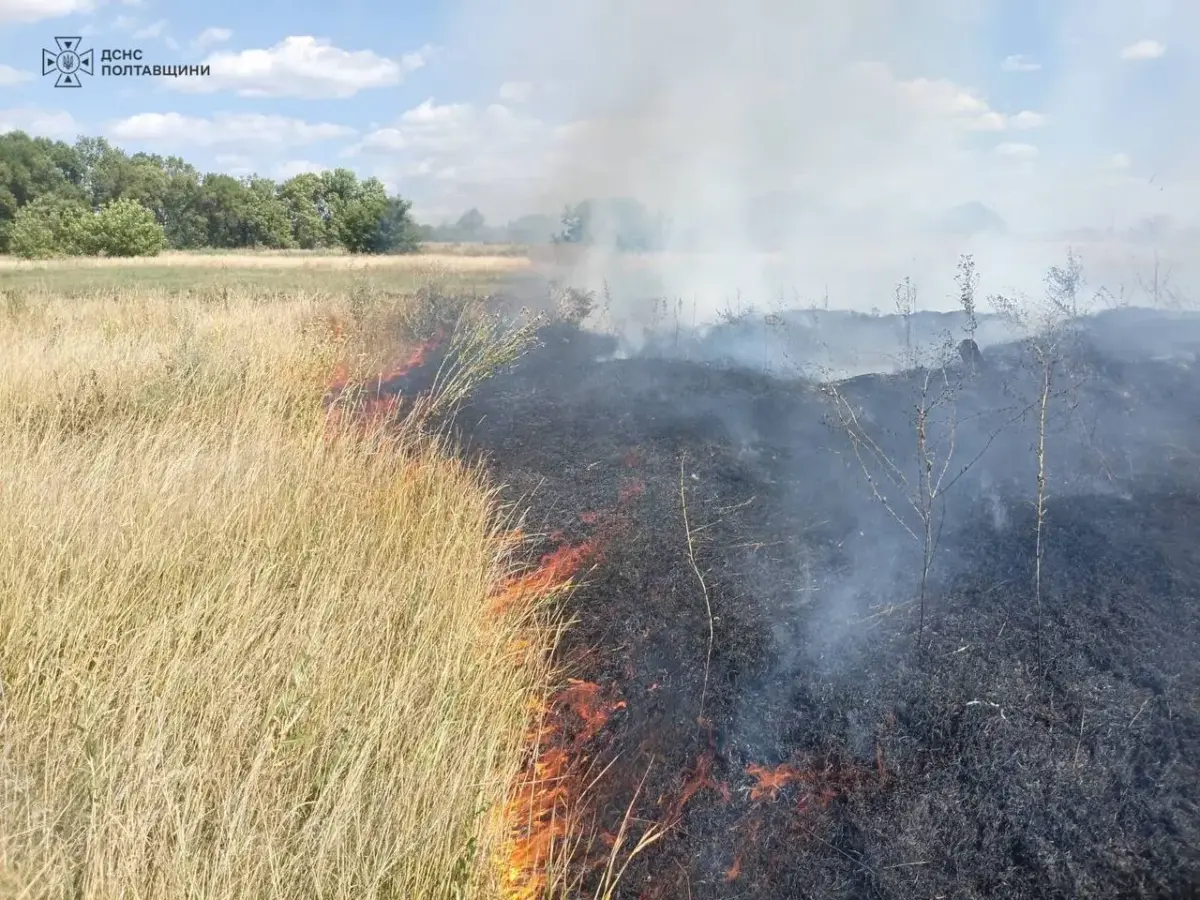 На Кременчуччині за добу сталося дев’ять пожеж