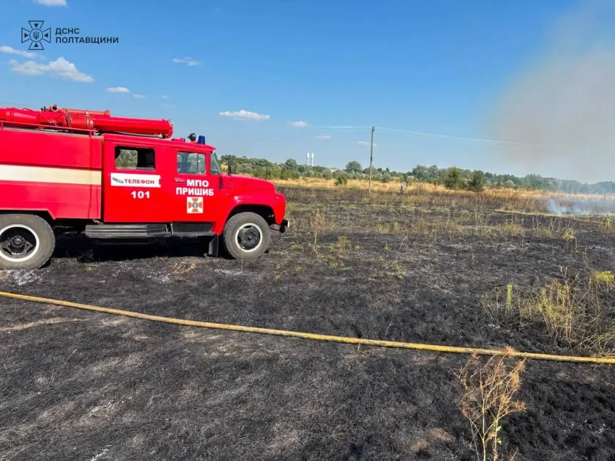 На Кременчуччині сталися дві пожежі на відкритих територіях