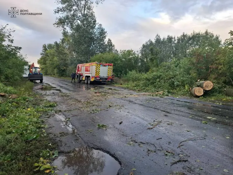 Через негоду частина Полтавщини залишається без світла — «Укренерго»