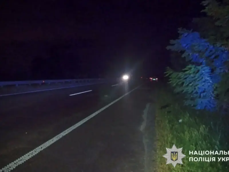 Поблизу Полтави водійка збила чоловіка із собакою та поїхала з місця ДТП