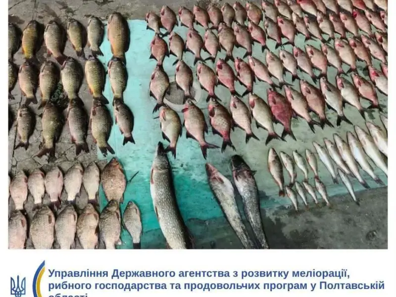 На Полтавщині у промислових рибалок вилучили 28 сіток і понад 200 кг риби