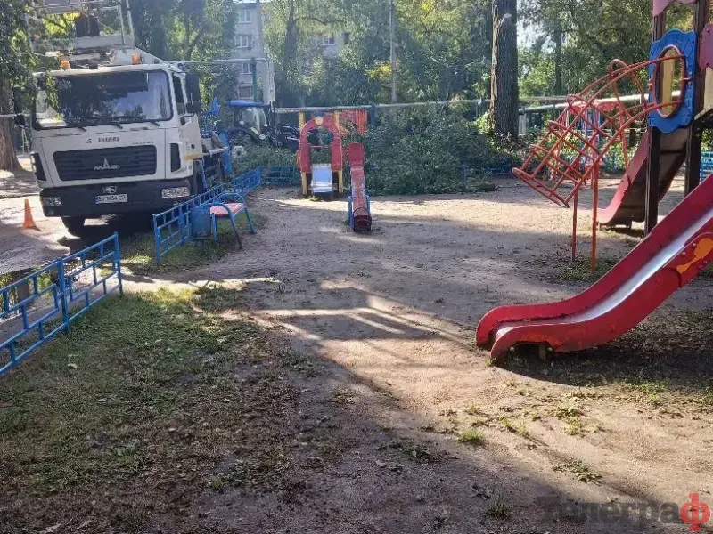 <span class="custom-bold">На проспекті Лесі Українки в Кременчуці знову спилюють дерева: мешканці просять пояснень</span> <img src="https://www.telegraf.in.ua/wp-content/uploads/2026/03/gallery.svg" alt="" class="feed-icon" style="width: 20px; height: 20px; vertical-align: middle;" />