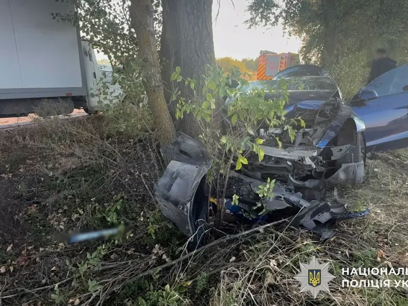 У Піщаному Tesla врізалася в дерево: травмувалися двоє дітей та дві жінки