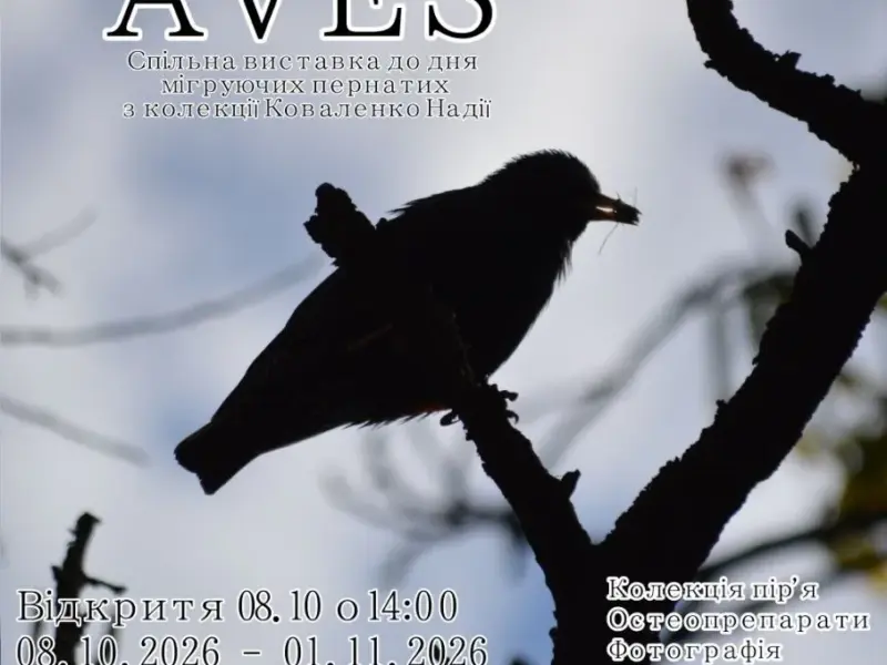 Птахи зблизька: у Кременчуці відкриють виставку AVES до Всесвітнього дня мігрівних птахів