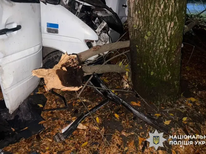 У Лубнах 18-річний водій мікроавтобуса врізався в дерево