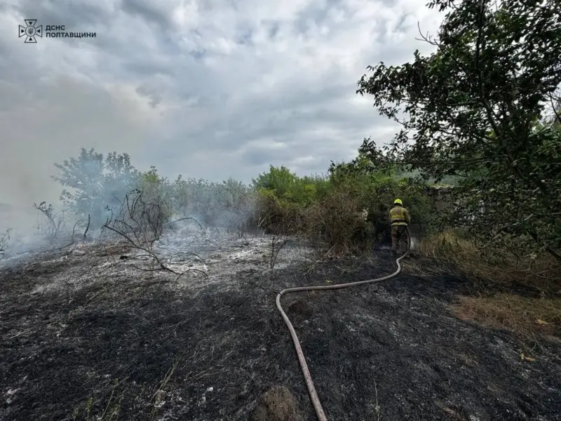 На Кременчуччині за день вигоріло 950 квадратних метрів сухостою