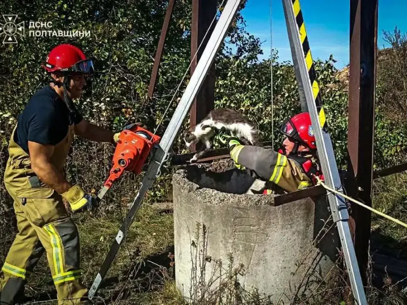 На Полтавщині рятувальники витягли кота із закинутого колодязя