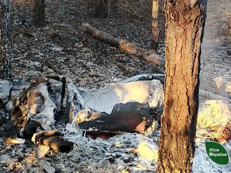 Внаслідок нічного ракетного обстрілу на Полтавщині спалахнули дві лісові пожежі <img src="https://www.telegraf.in.ua/wp-content/uploads/2026/03/gallery.svg" alt="" class="feed-icon" style="width: 20px; height: 20px; vertical-align: middle;" /> <img src="https://www.telegraf.in.ua/wp-content/uploads/2026/03/video.svg" alt="" class="feed-icon" style="width: 20px; height: 20px; vertical-align: middle;" />