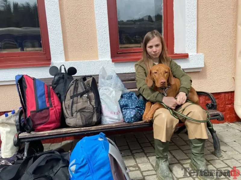 З котом чи собакою знайти квартиру складніше: на Полтавщині лише 8,3% житла здають орендарям із тваринами <img src="https://www.telegraf.in.ua/wp-content/uploads/2026/03/chart.svg" alt="" class="feed-icon" style="width: 20px; height: 20px; vertical-align: middle;" />