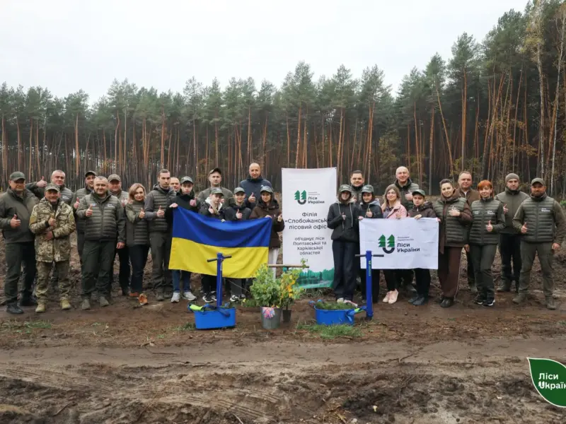 На Полтавщині розпочали осінню висадку лісу: планують відновити 225 гектарів